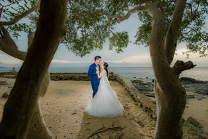 Hochzeitsbrauch - Brautbaum pflanzen