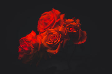 Der Rosenkavalier
